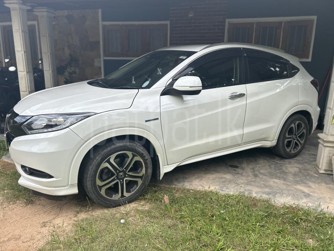 Advertisement image 2