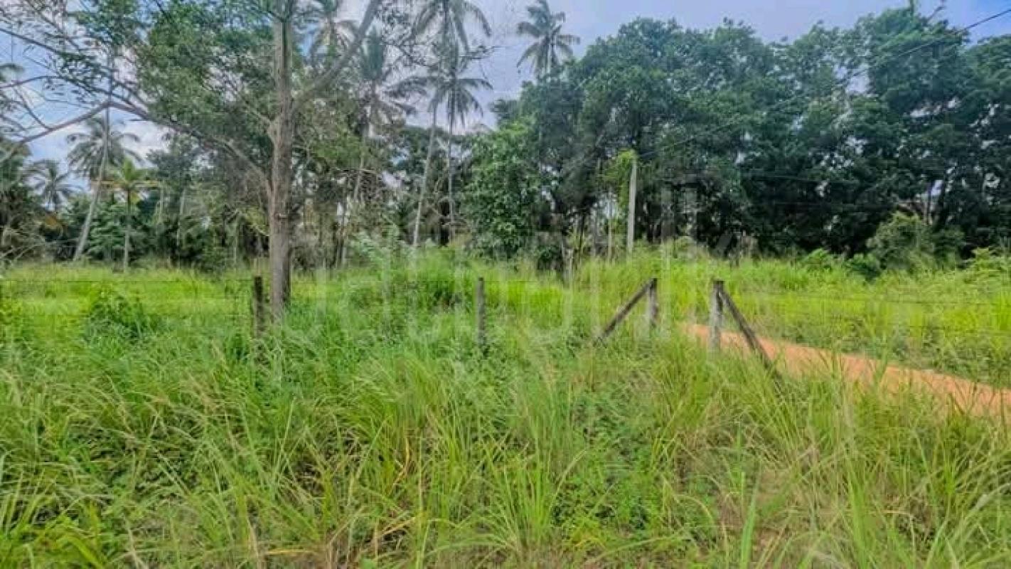 Commercial Land for Sale in Divulapitiya