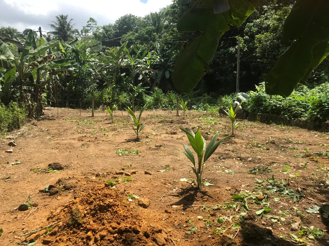 Residential Land for Sale in Padukka