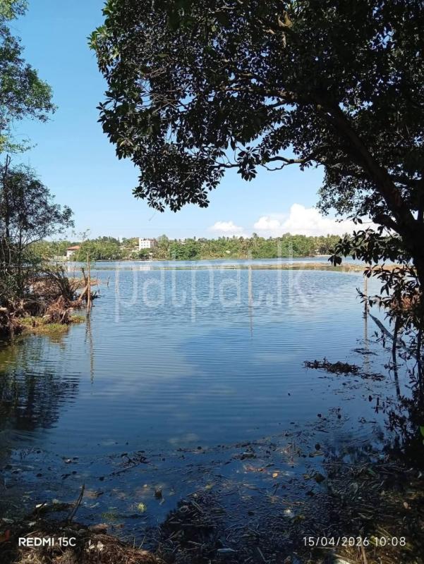 House for Sale in Piliyandala