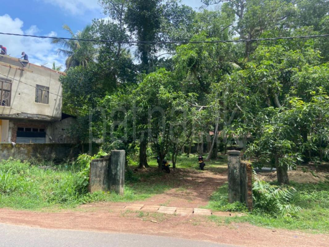 Advertisement image 6