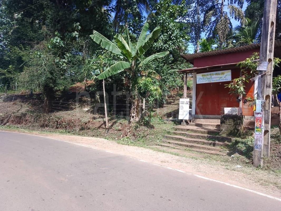 Advertisement image 1