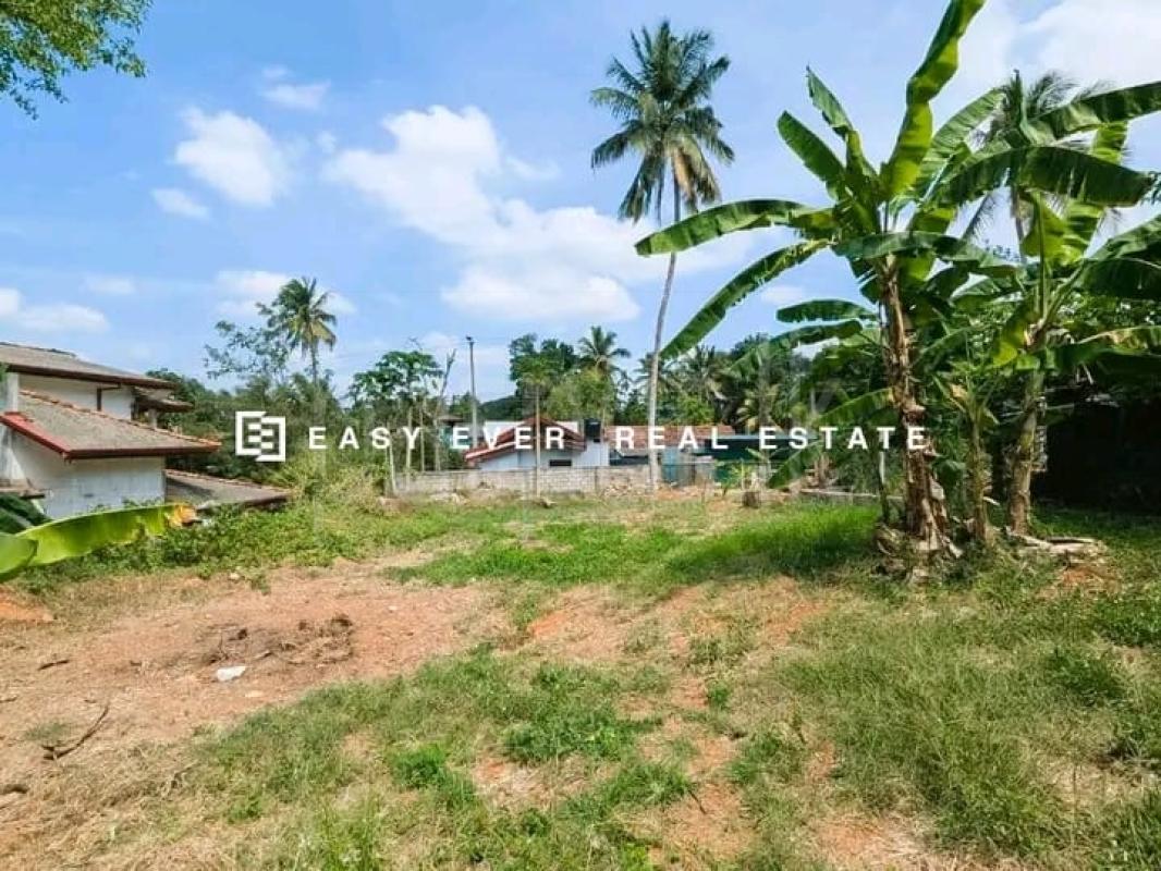 Commercial Land for Sale in Gampaha ads-image-1
