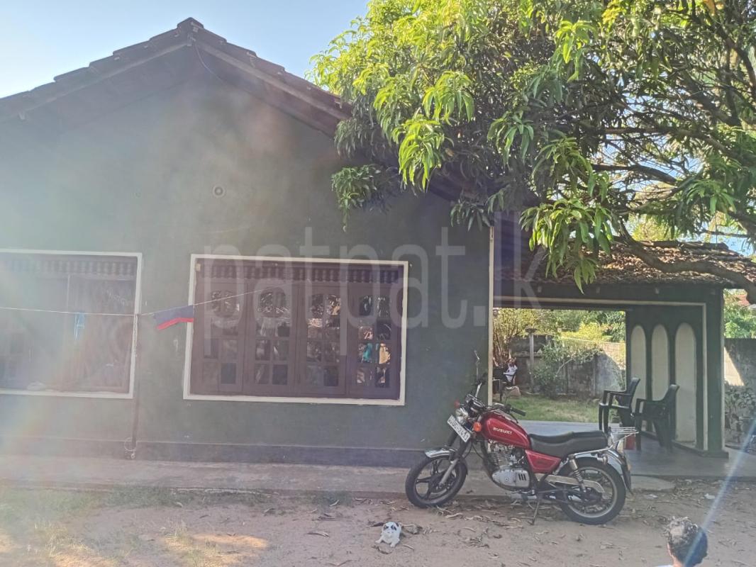 House for Sale in Maspotha ads-image-1