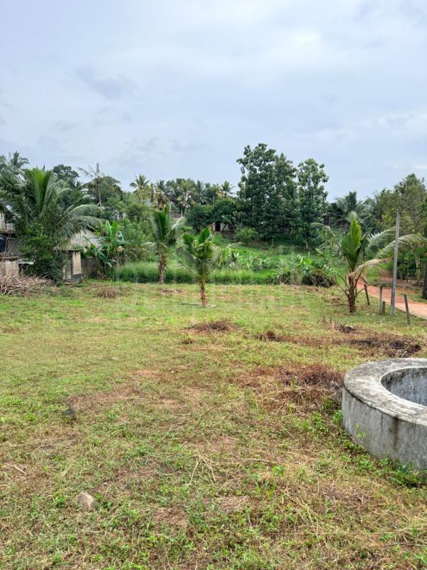 Commercial Land for Sale in Kirindiwela ads-image-1