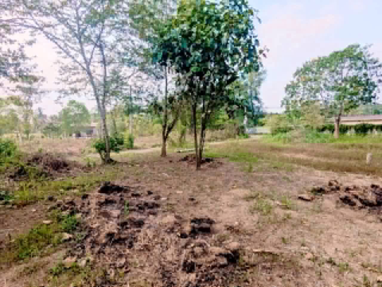 Residential Land for Sale in Nittambuwa