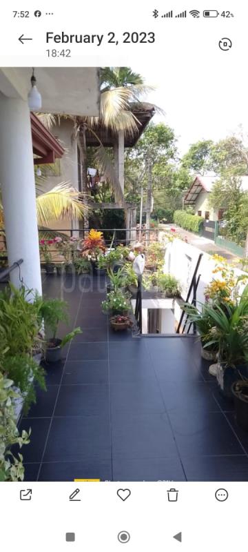 premium-listing-image