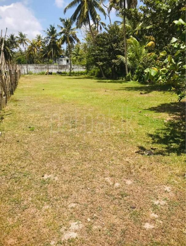 Commercial Land for Sale in Unawatuna