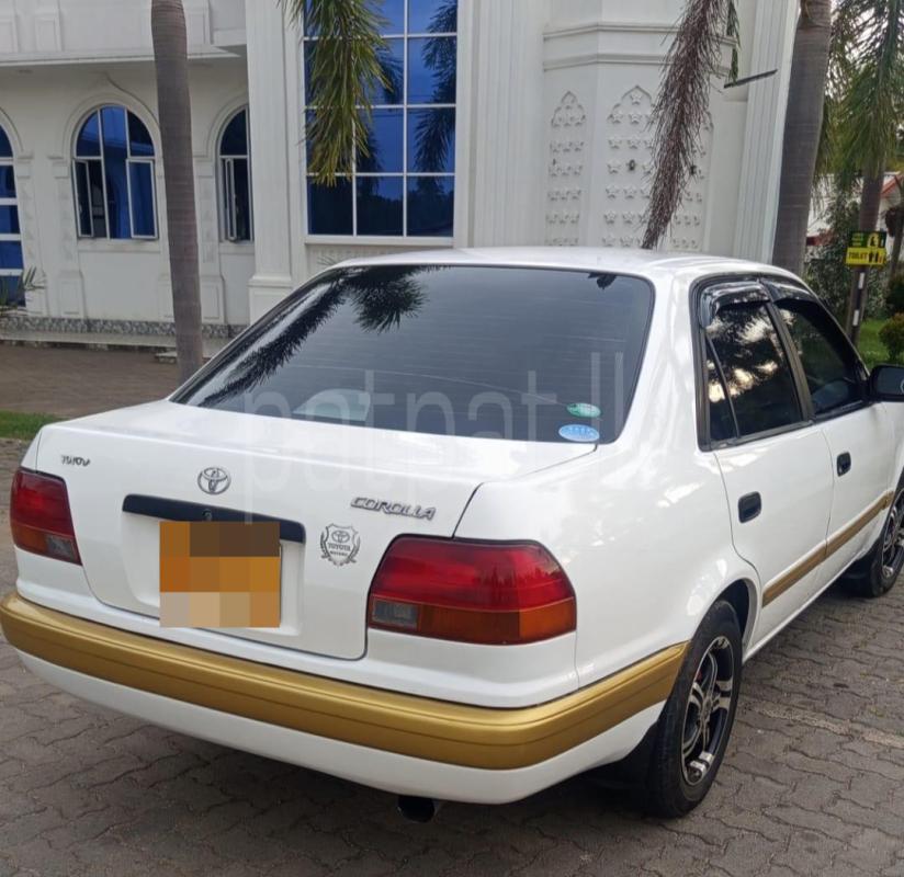 Toyota Corolla 2003 - பயன்படுத்தப்பட்டது கார் sale in Sri Lanka - patpat.lk