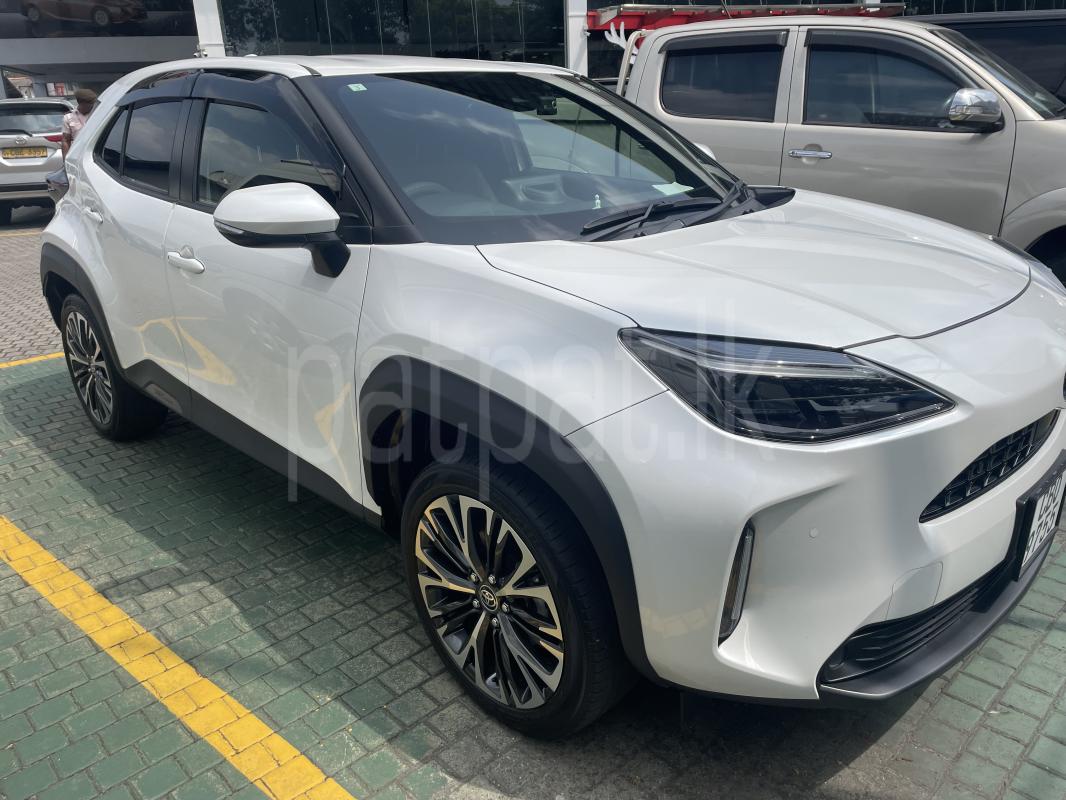 Advertisement image 1