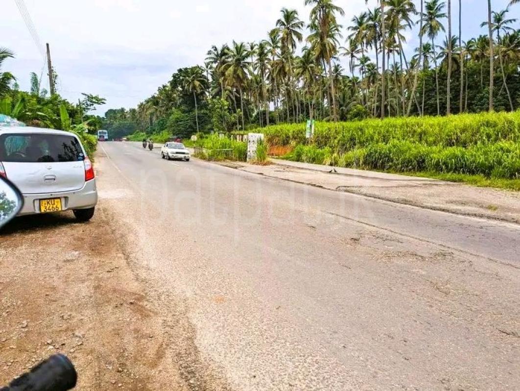 Advertisement image 1