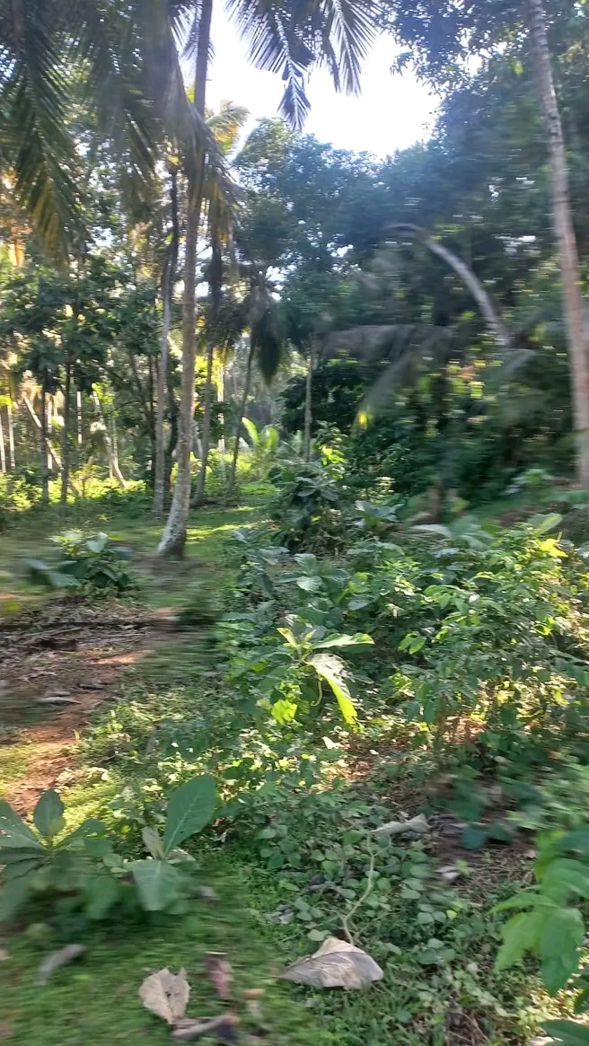 Residential Land for Sale in Tangalla