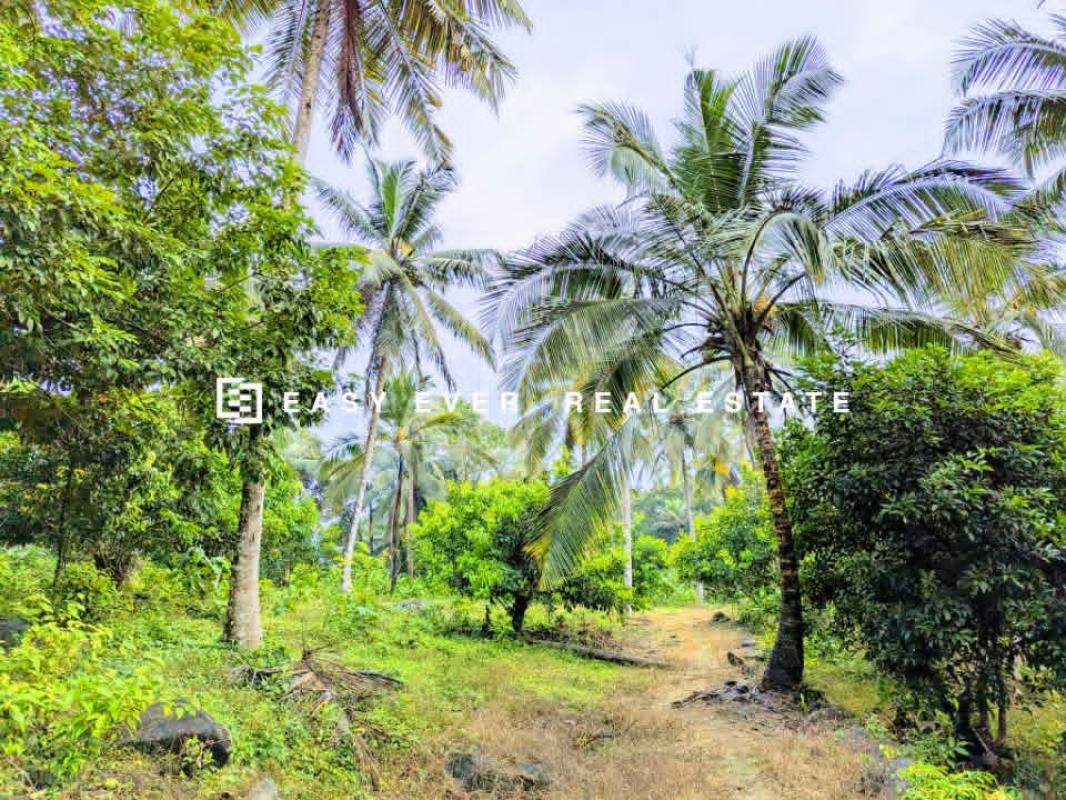 Commercial Land for Sale in Yakkala