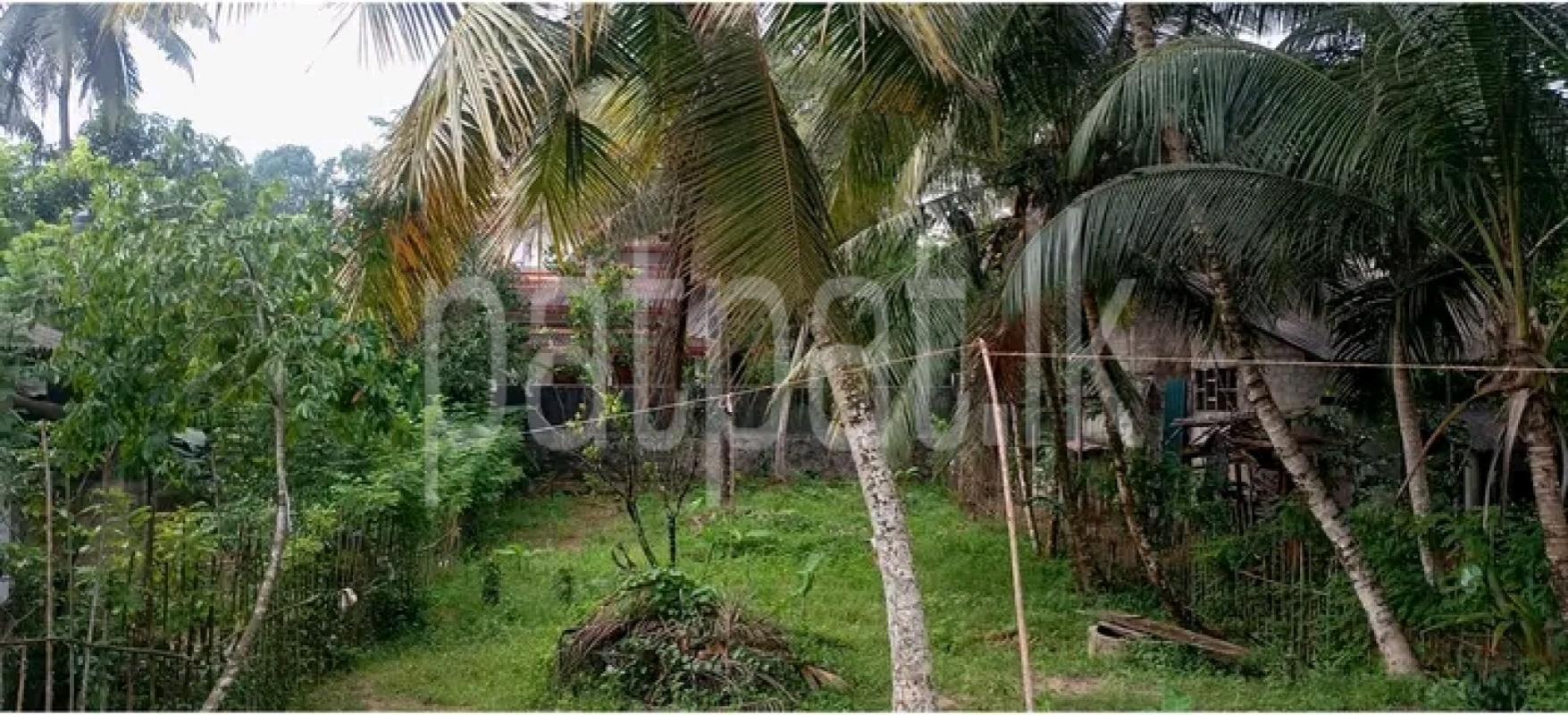 Residential Land for Sale in Talagampola