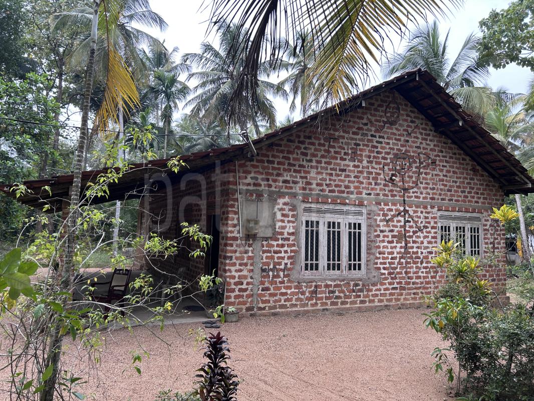 Advertisement image 12