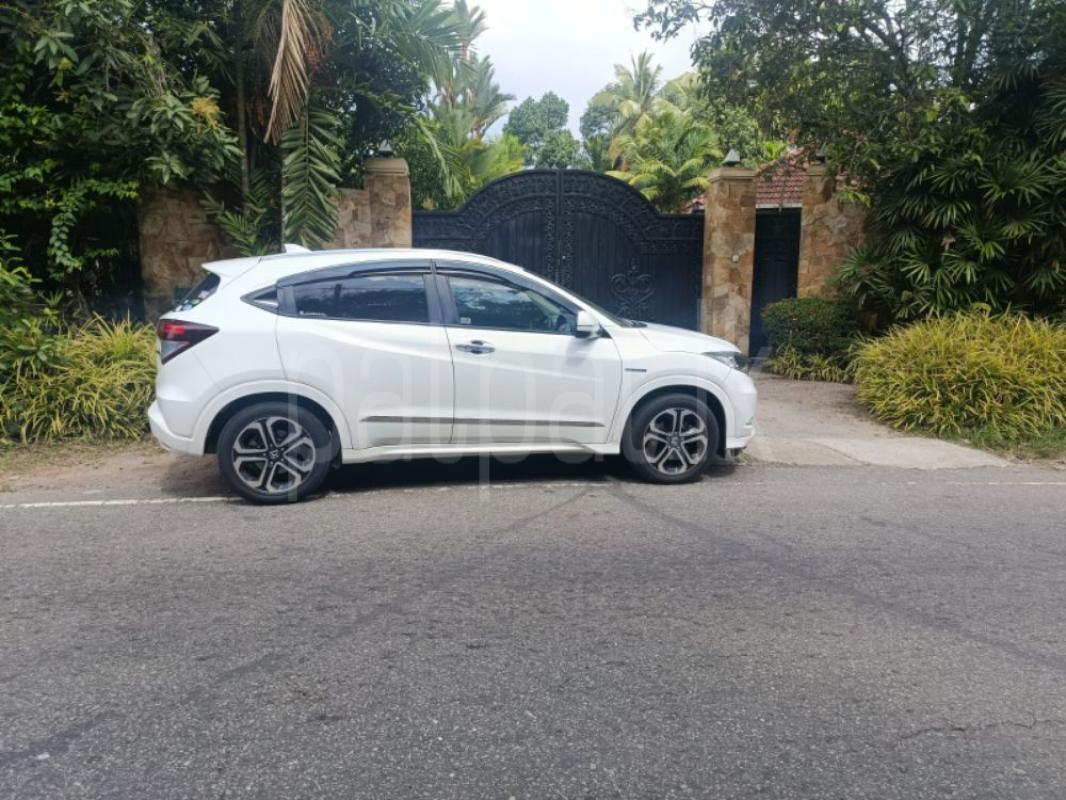 Advertisement image 6