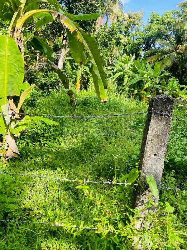 Commercial Land for Sale in Wariyapola