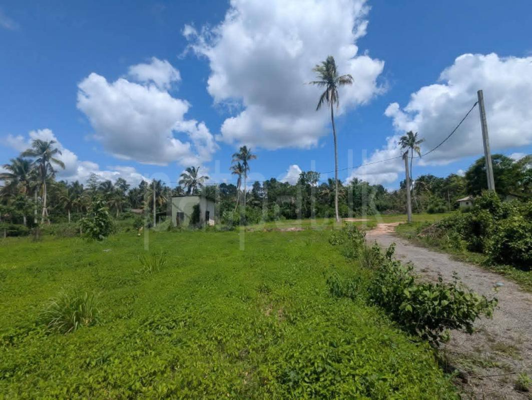 Residential Land for Sale in Divulapitiya