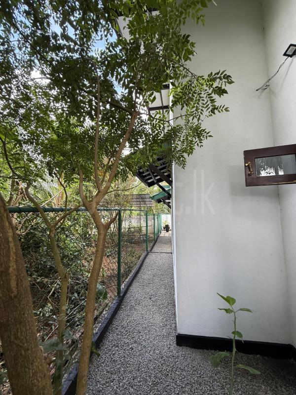 Advertisement image 8