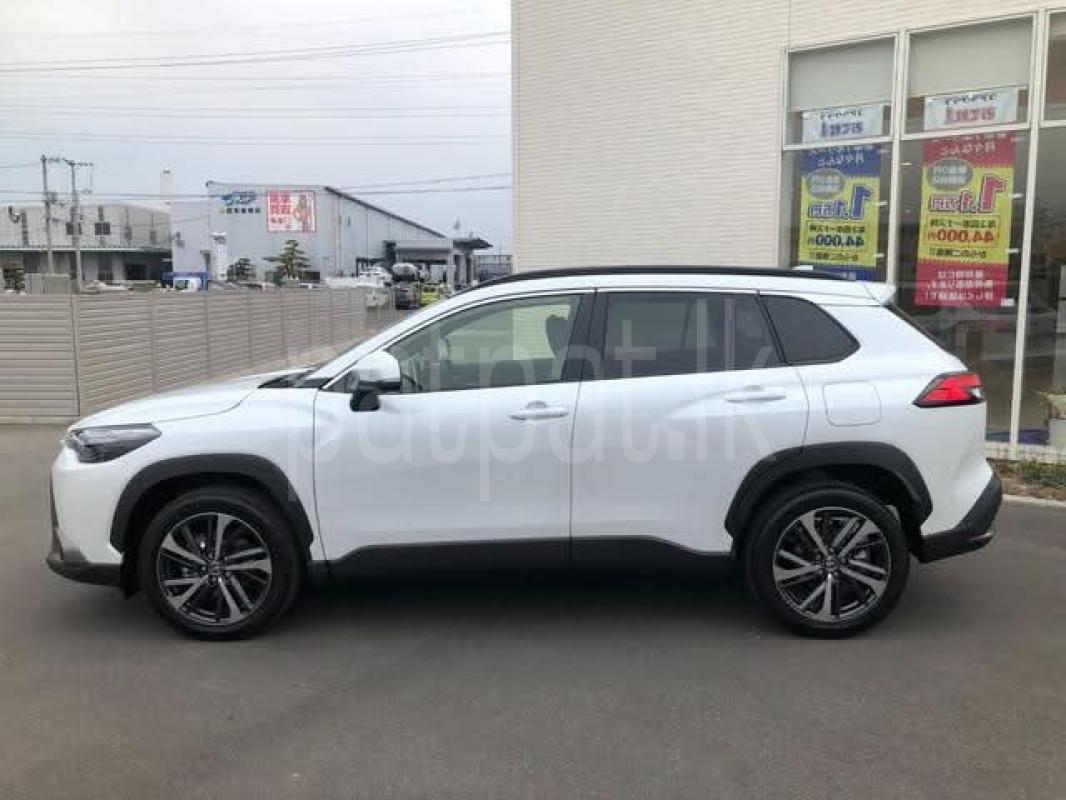 Advertisement image 5