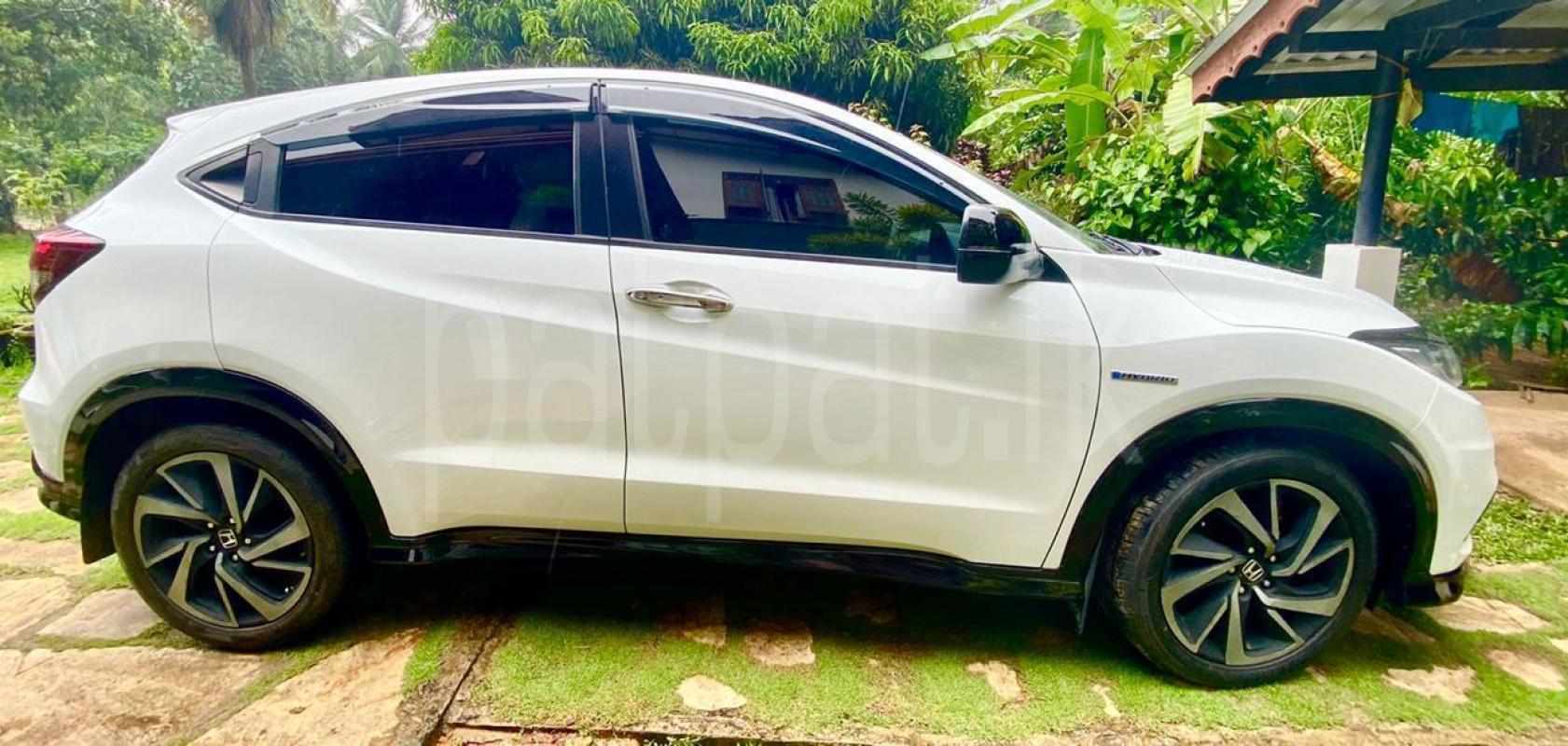 Advertisement image 4