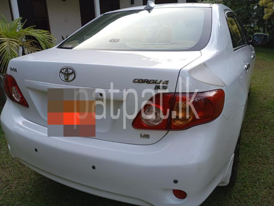 Advertisement image 2