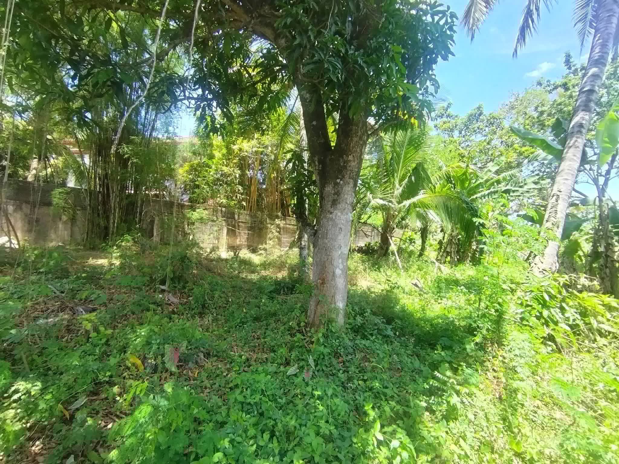 Residential Land for Sale in Pelawatta ads-image-1