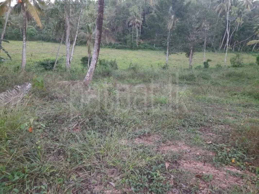 Commercial Land for Sale in Matara