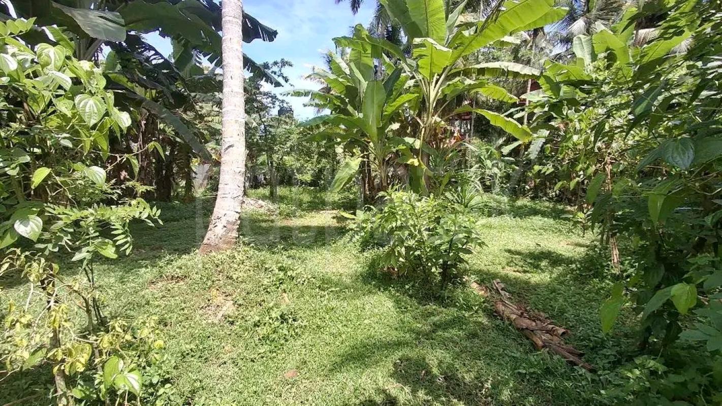Residential Land for Sale in Biyagama