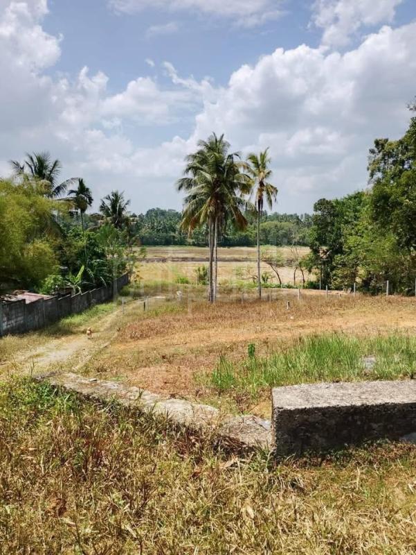 Commercial Land for Sale in Weliveriya ads-image-1