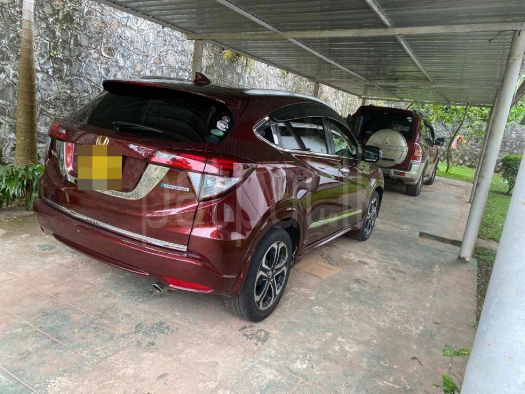 Advertisement image 3