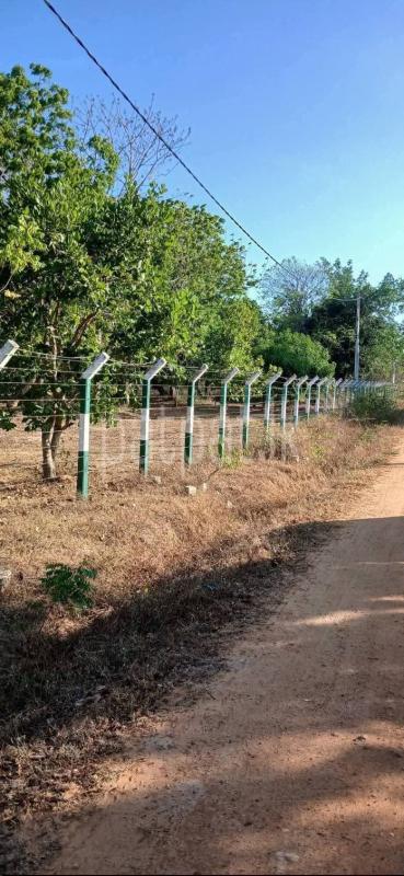 Residential Land for Sale in Tissamaharama