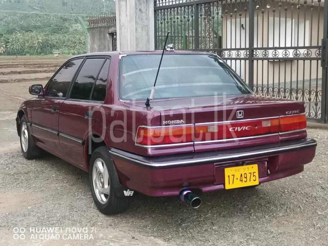 Advertisement image 2