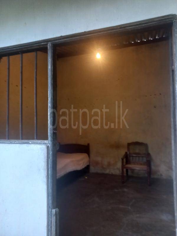 Room for Rent in Panadura ads-image-1