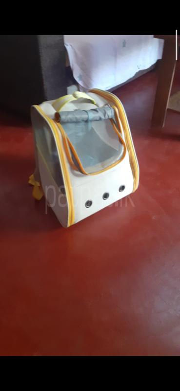 Serbian cat with belongings ads-image-1