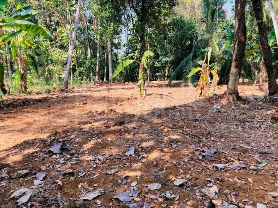 Commercial Land for Sale in Alawwa