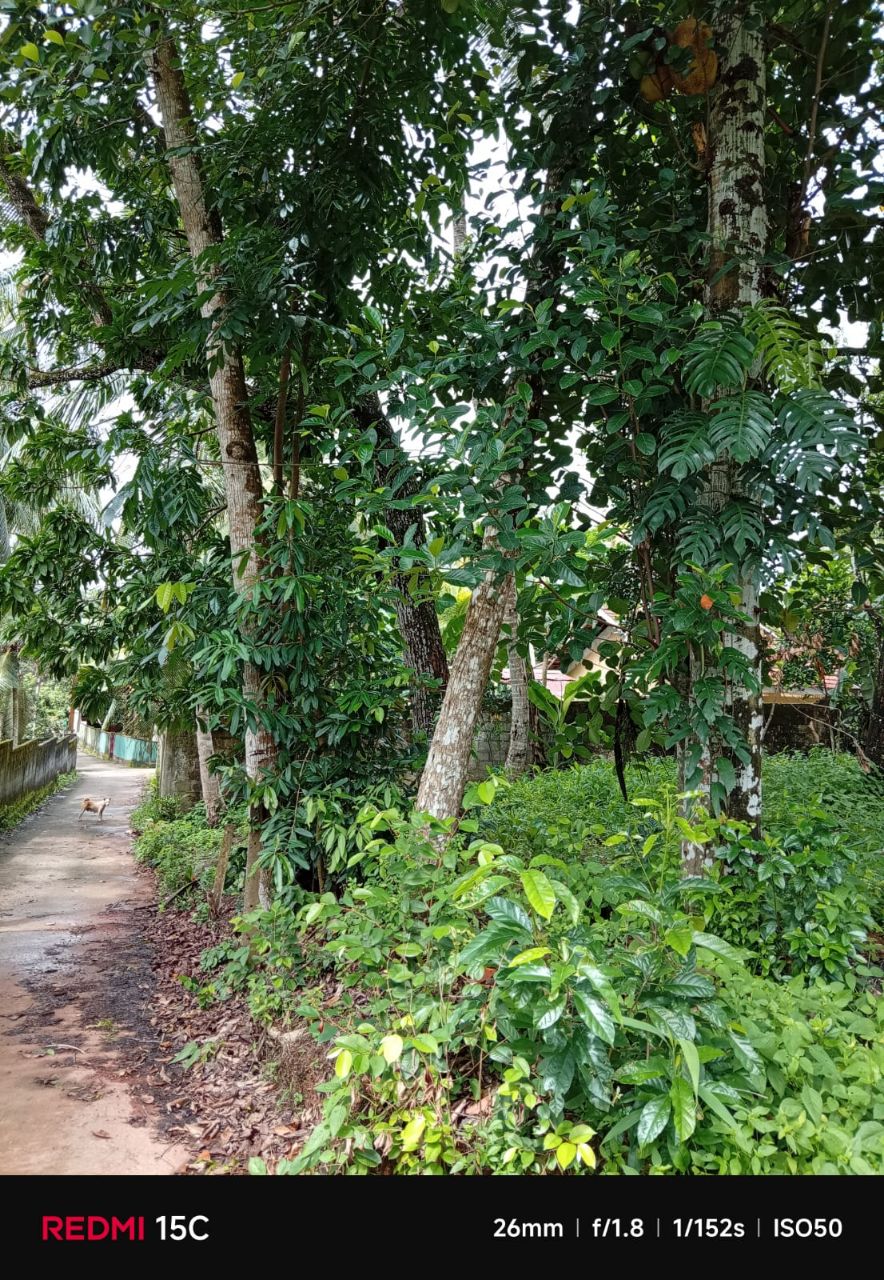 Residential Land for Sale in Udugampola