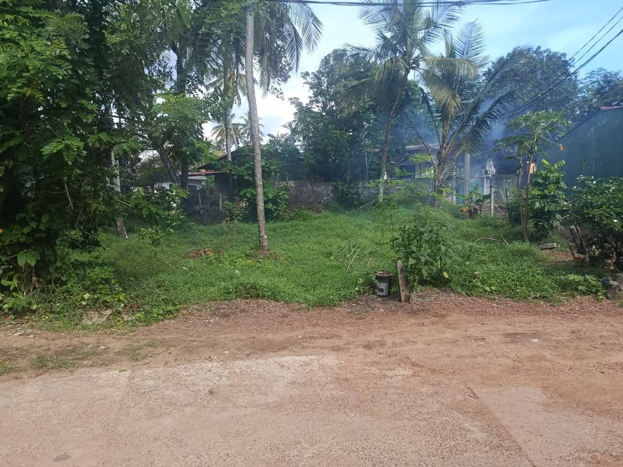 Agricultural Land for Sale in Kadawatha