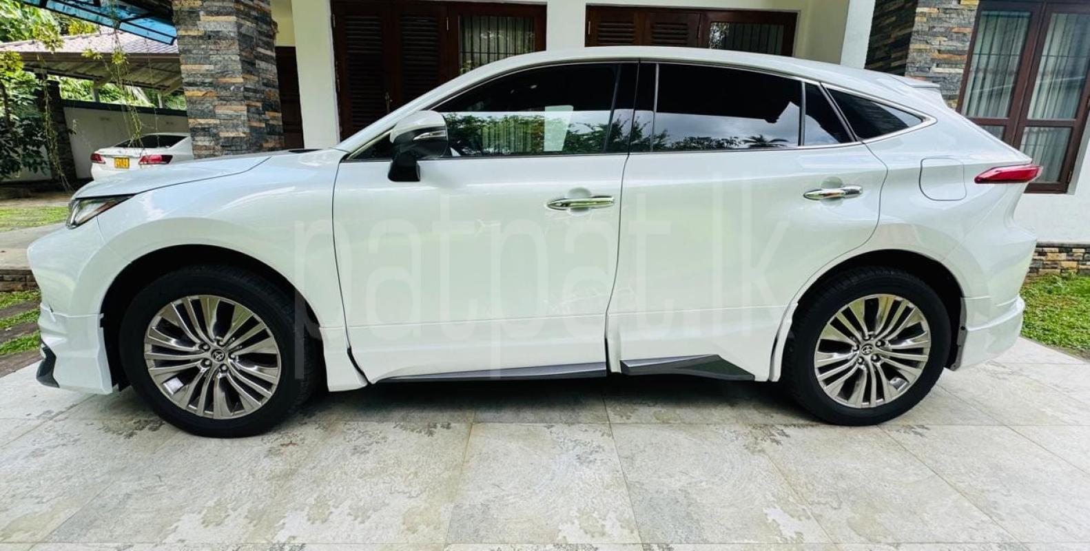 Advertisement image 3