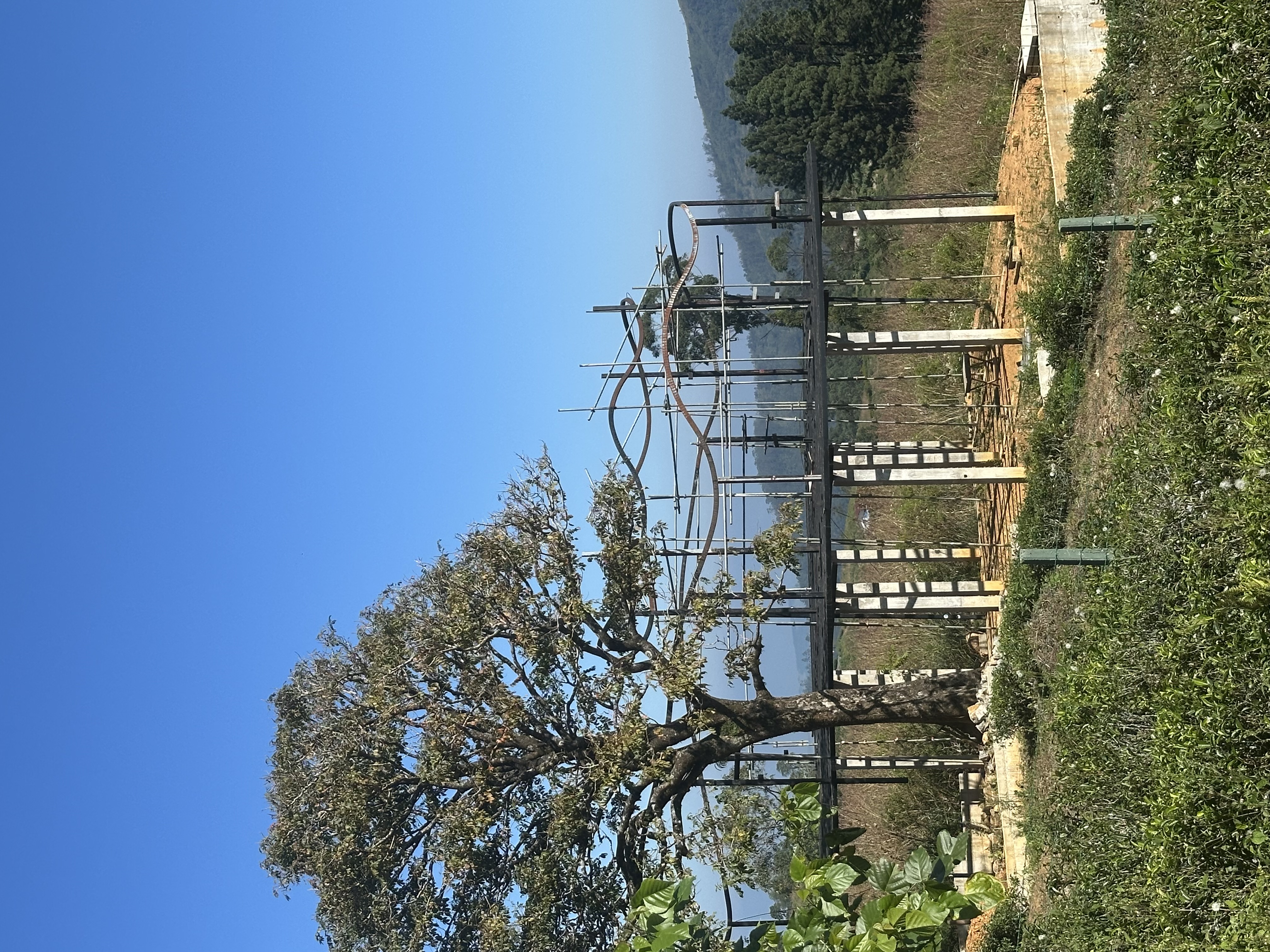 Holiday Bungalow for Sale in Pussellawa