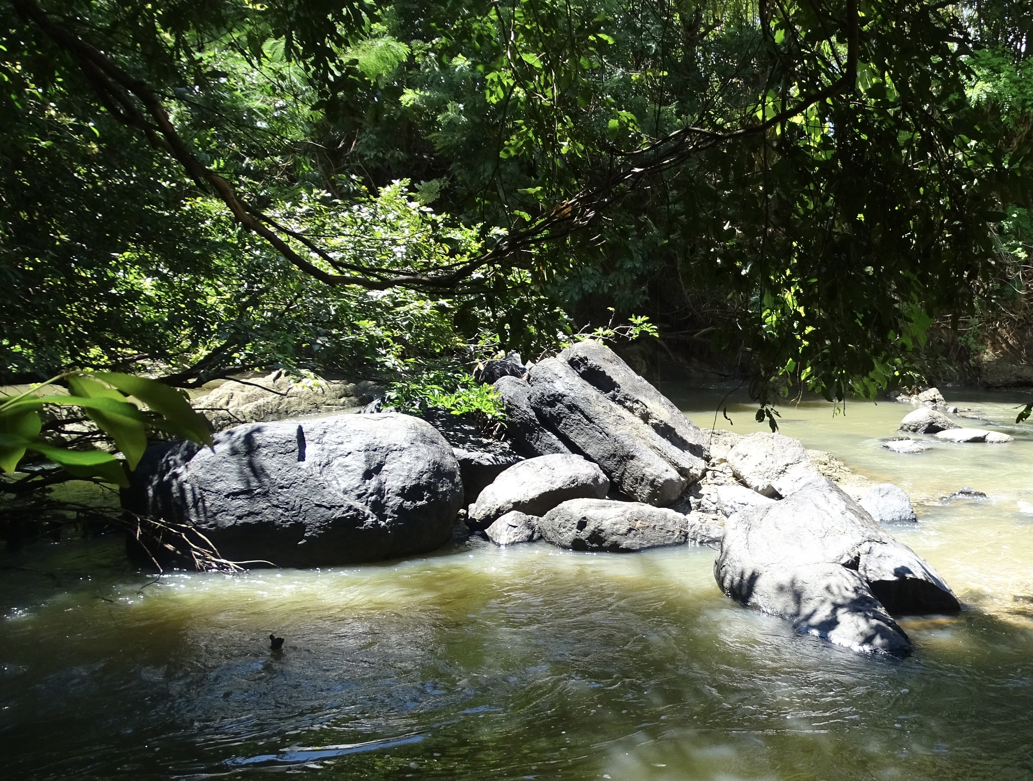 Residential Land for Sale in Dambulla
