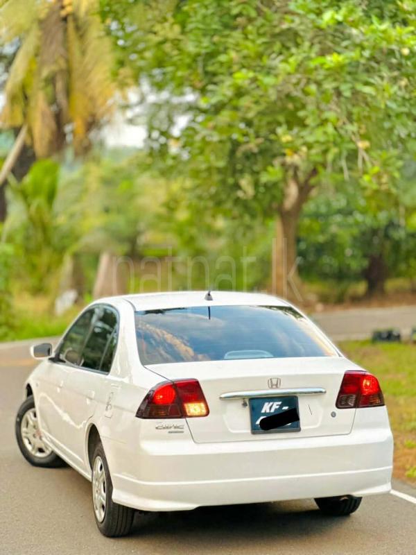 Advertisement image 3