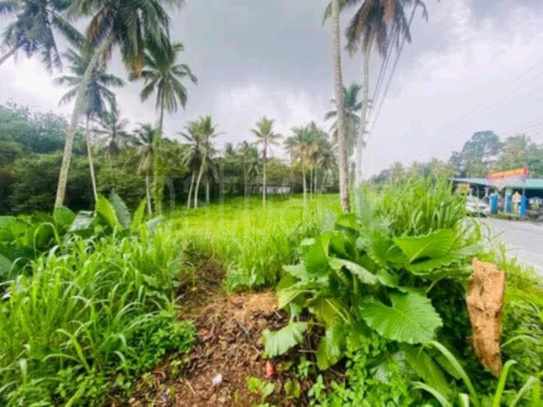 Agricultural Land for Sale in Padukka ads-image-1