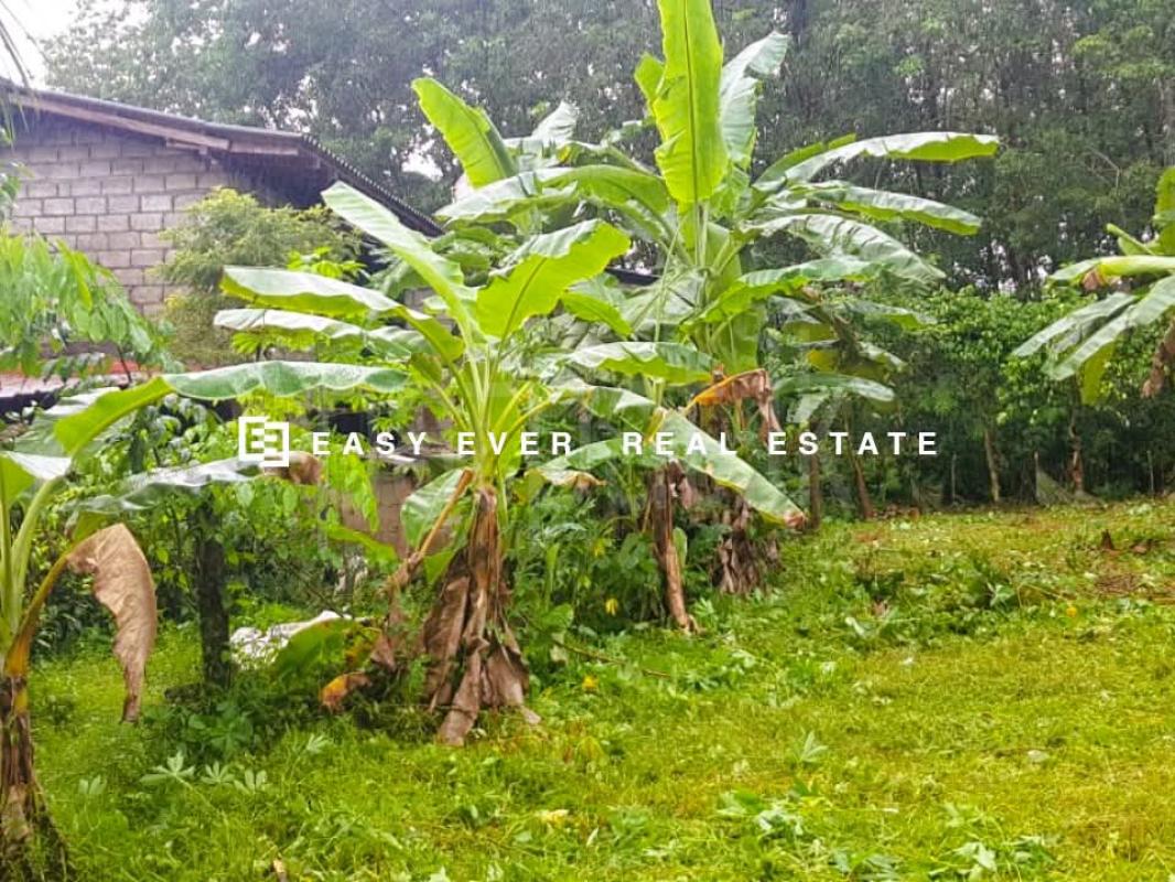 Residential Land for Sale in Matugama