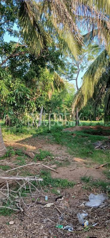 Residential Land for Sale in Kataragama