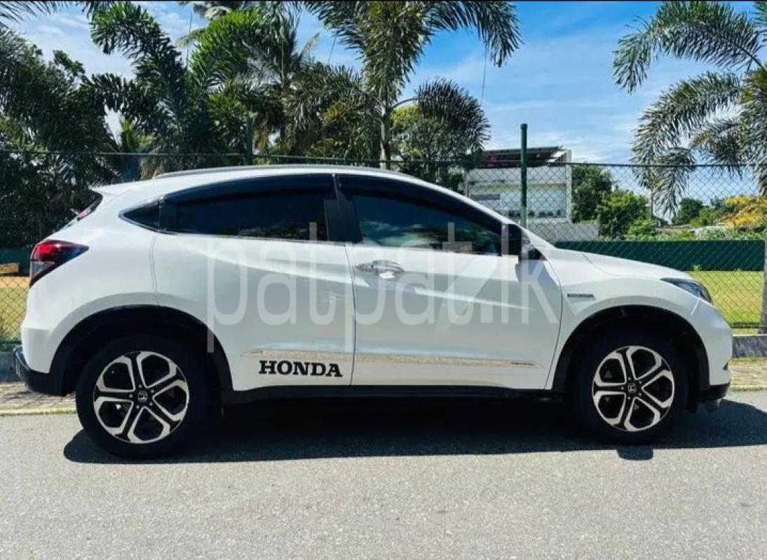 Advertisement image 3