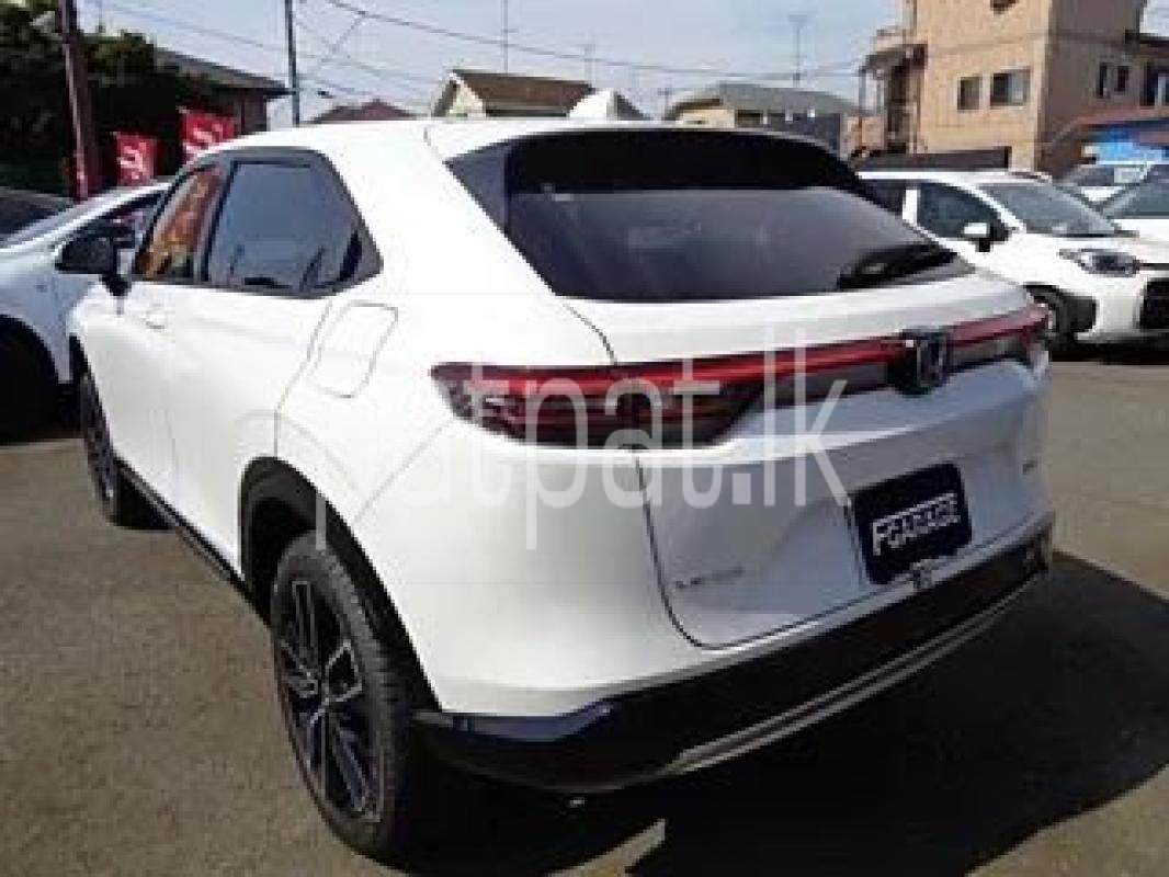 Advertisement image 6