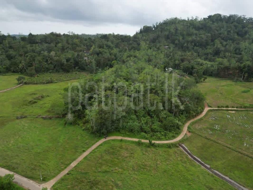 Residential Land for Sale in Imaduwa