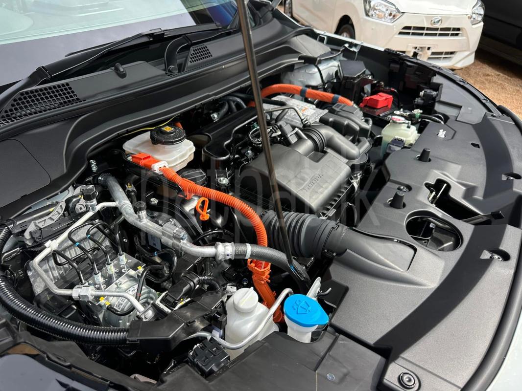 Advertisement image 6