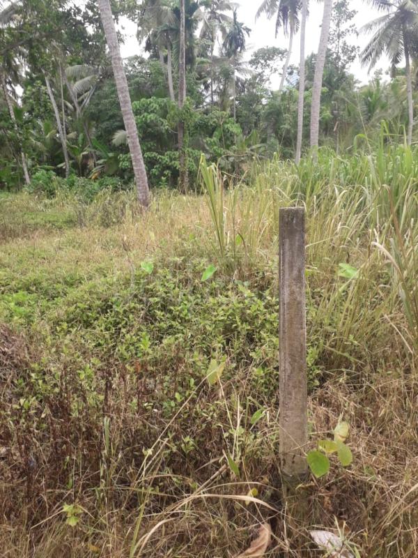 Residential Land for Sale in Katana